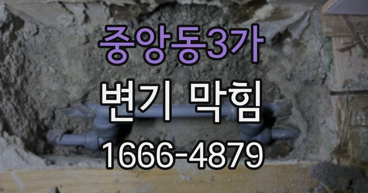 중앙동3가 변기 막힘