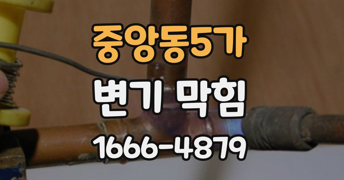 중앙동5가 변기 막힘