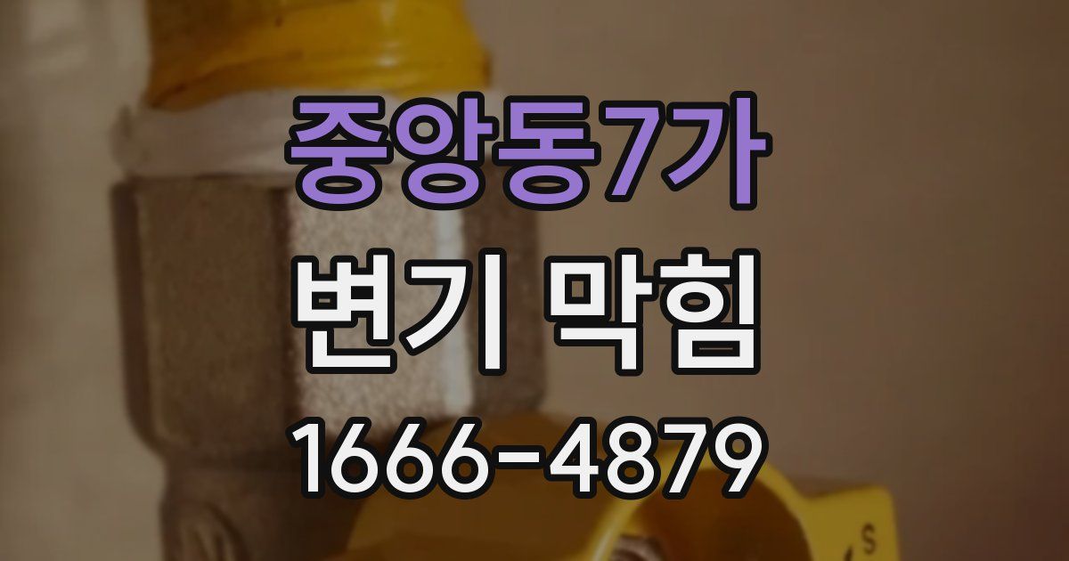 중앙동7가 변기 막힘