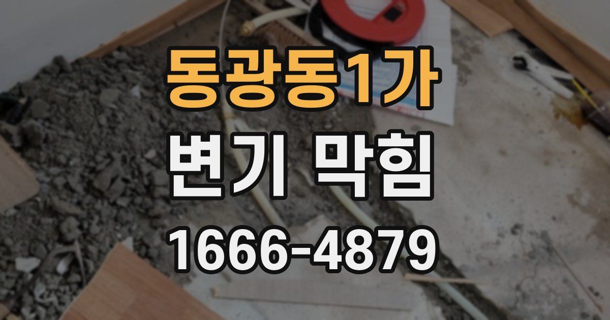 동광동1가 변기 막힘