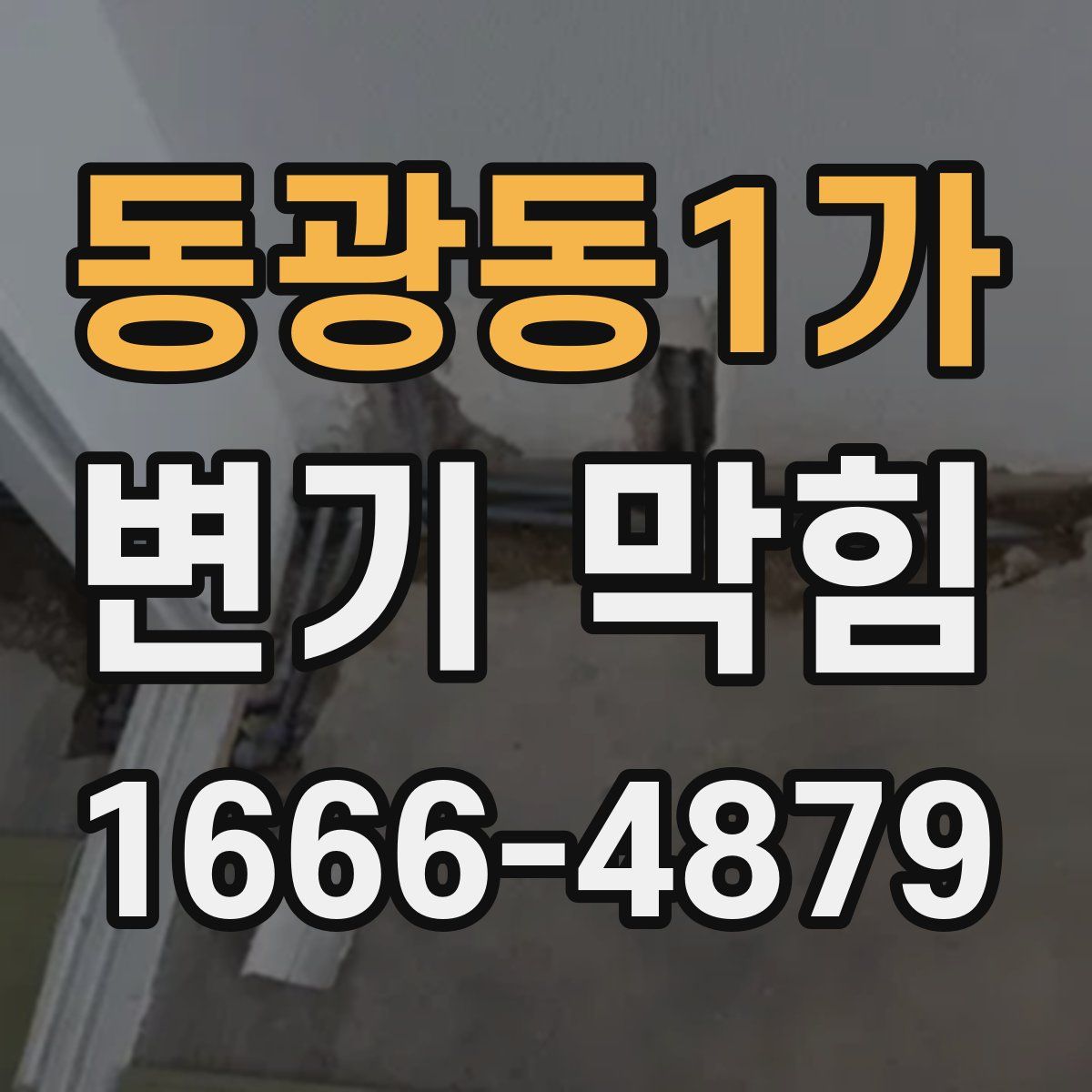 동광동1가 변기 막힘