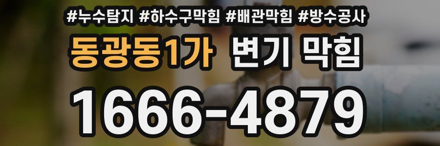 동광동1가 변기 막힘