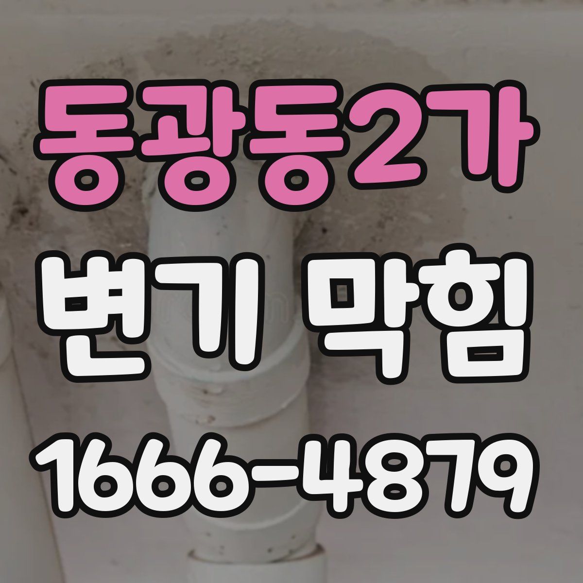 동광동2가 변기 막힘