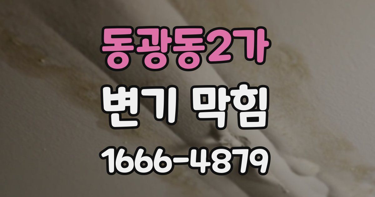 동광동2가 변기 막힘