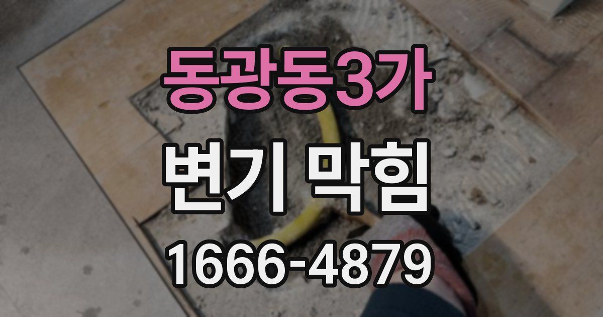 동광동3가 변기 막힘
