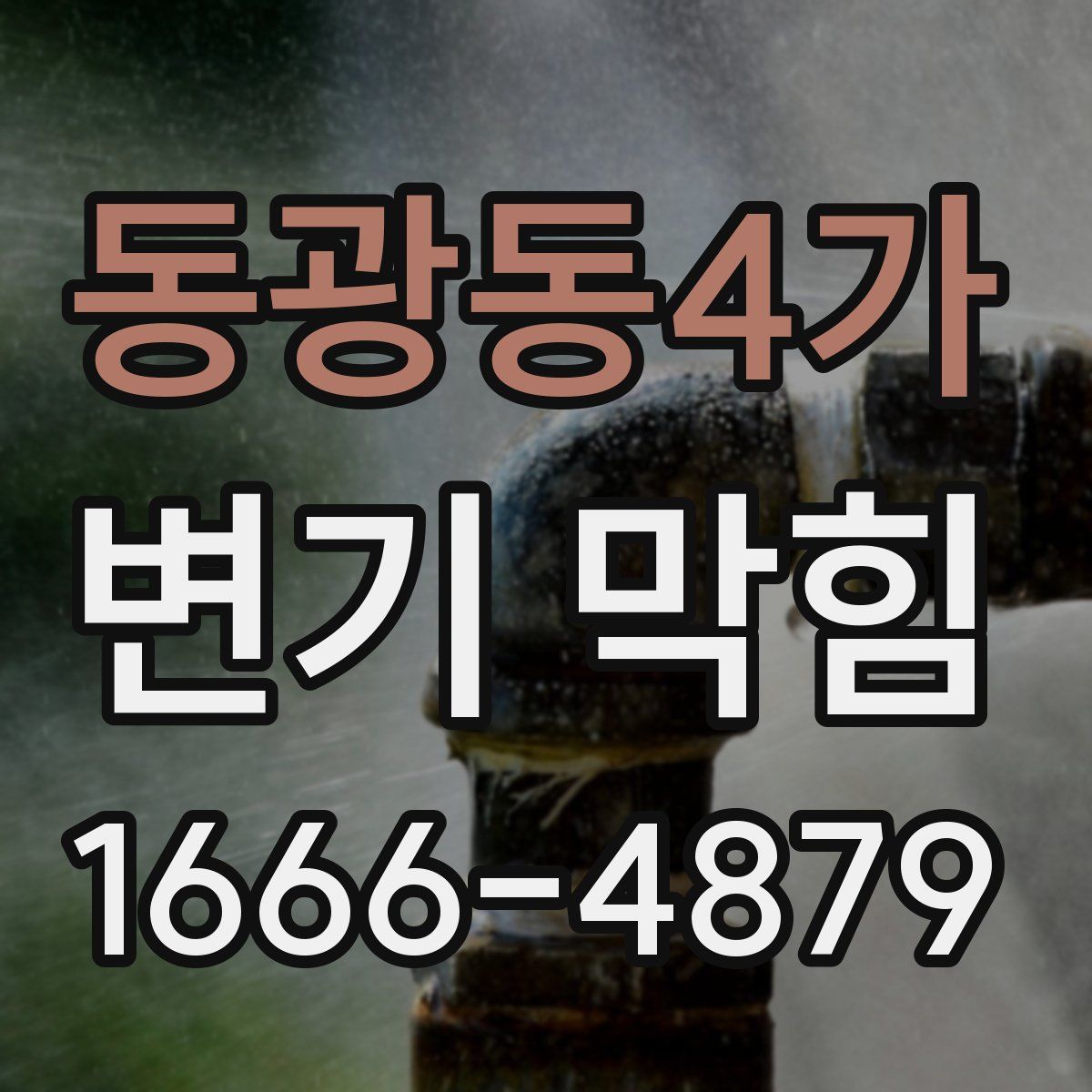 동광동4가 변기 막힘