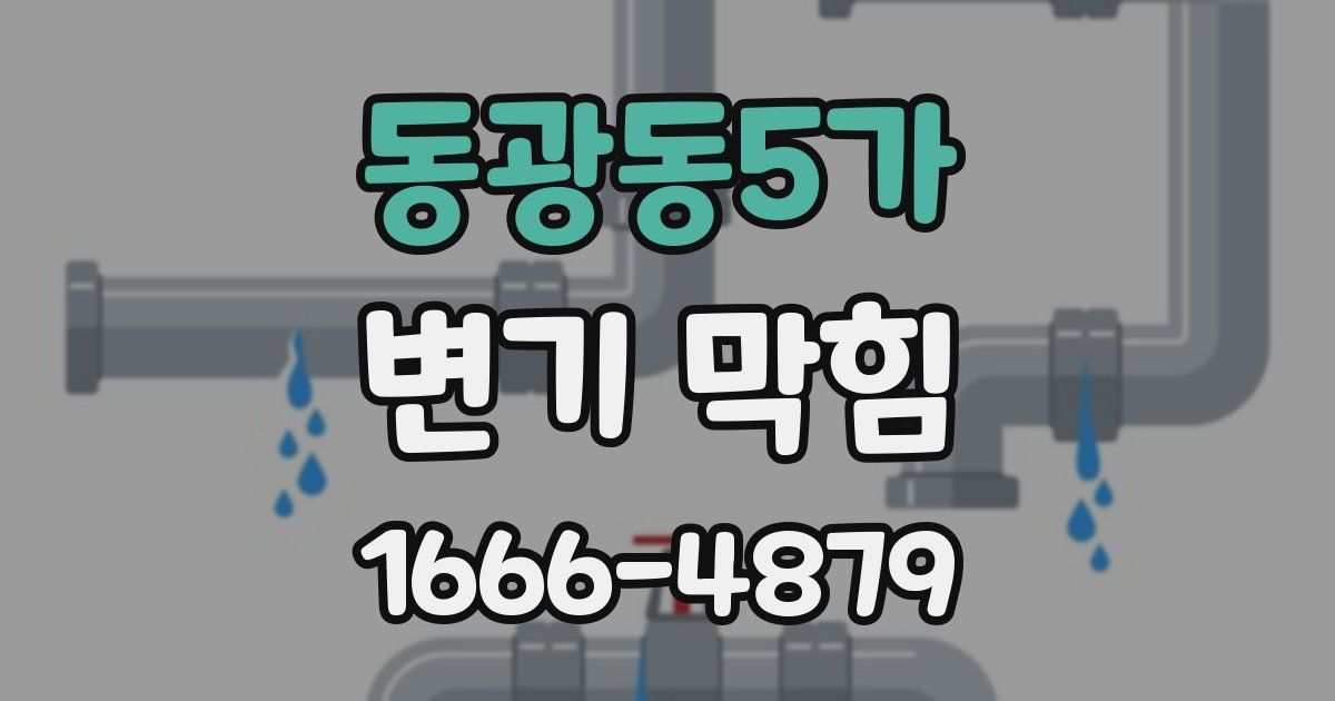 동광동5가 변기 막힘