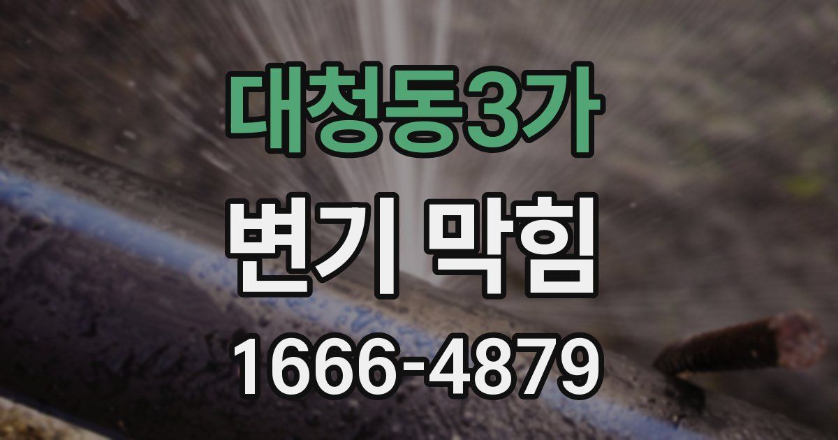 대청동3가 변기 막힘