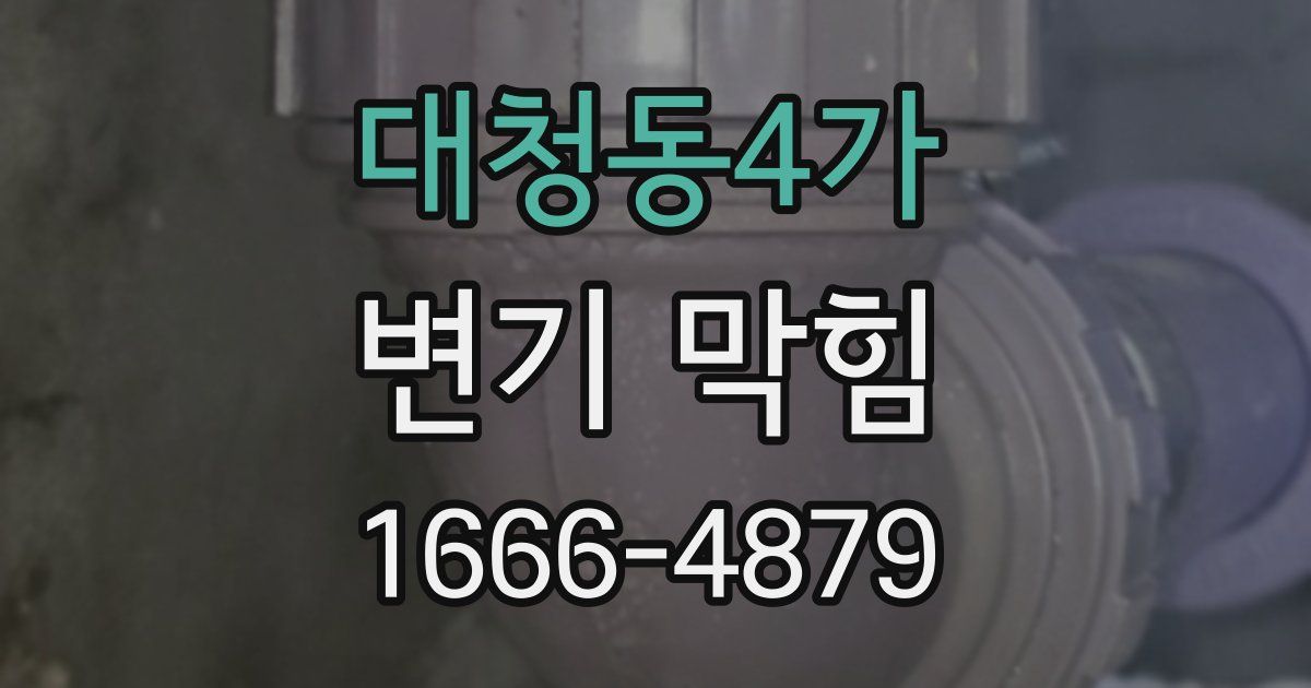 대청동4가 변기 막힘