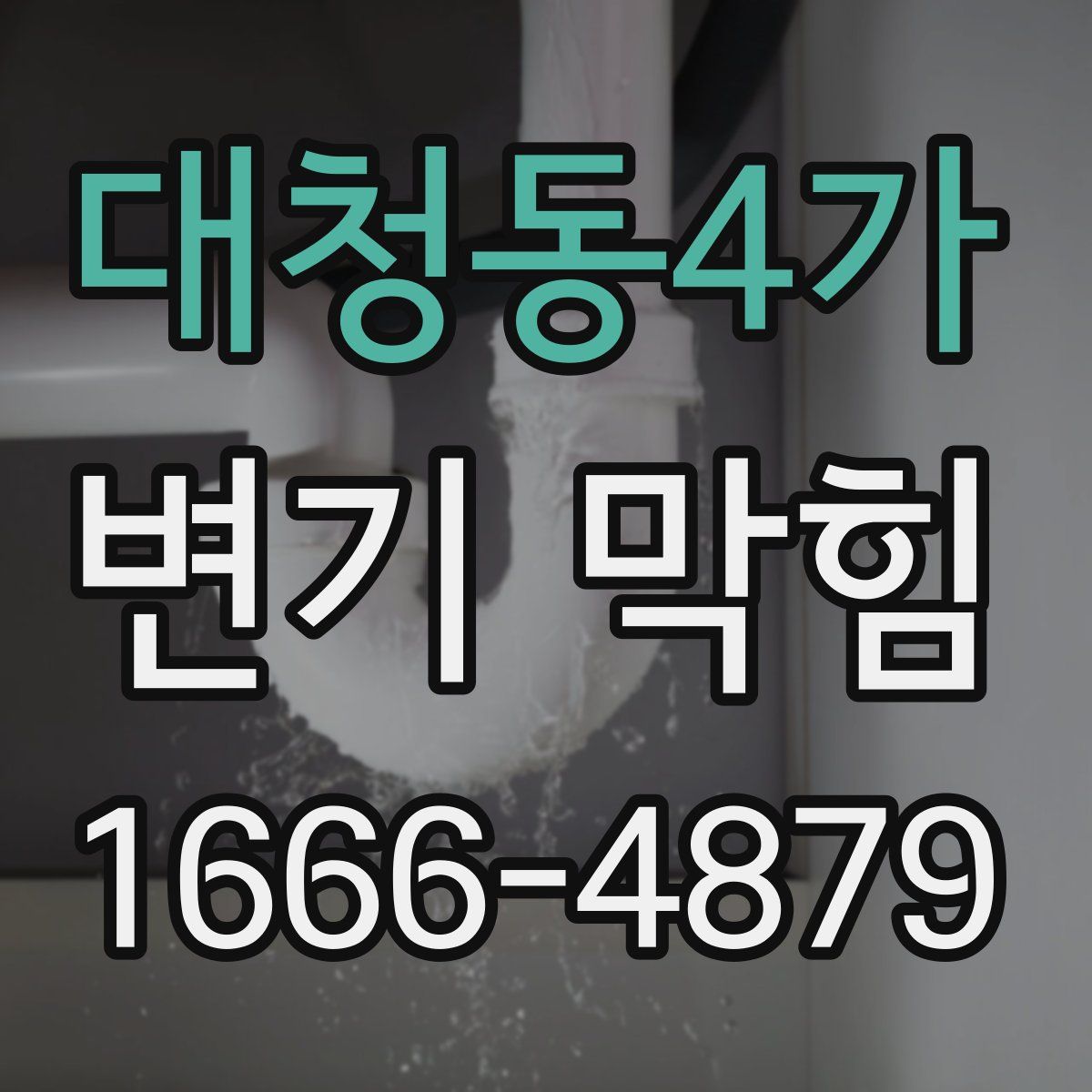대청동4가 변기 막힘