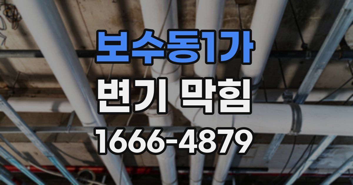 보수동1가 변기 막힘