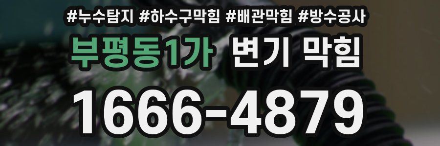 부평동1가 변기 막힘