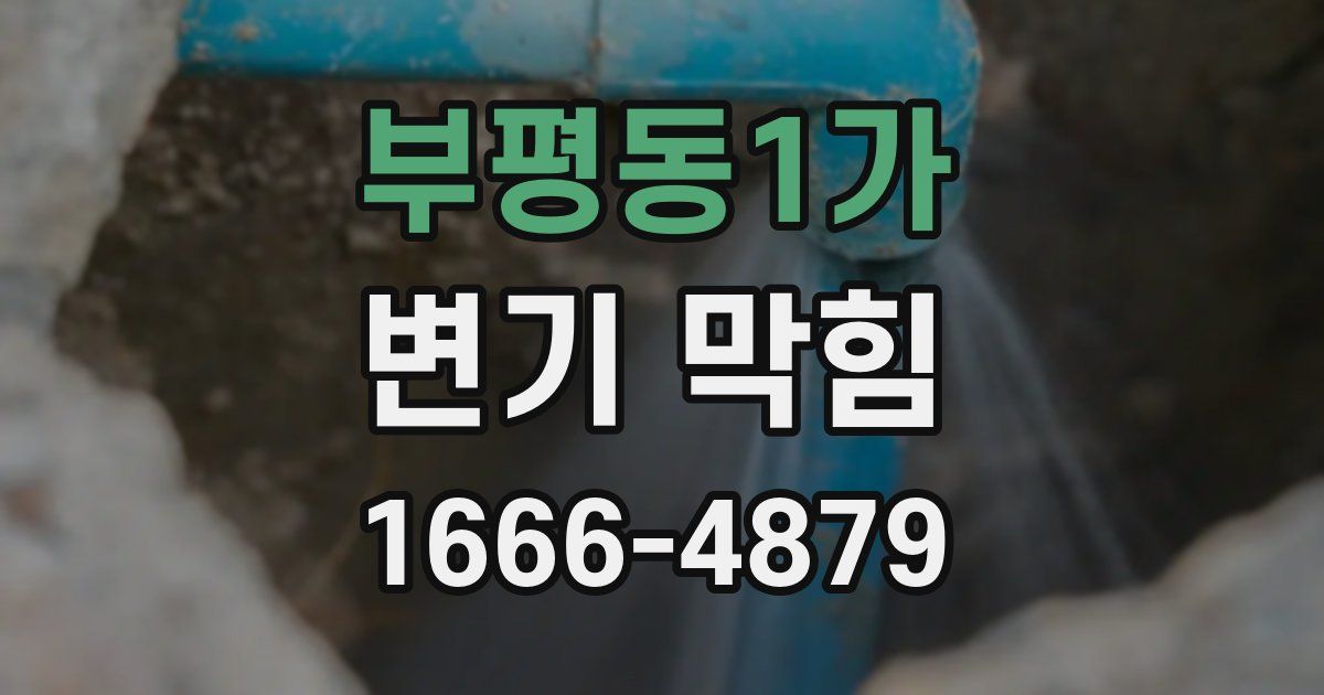 부평동1가 변기 막힘