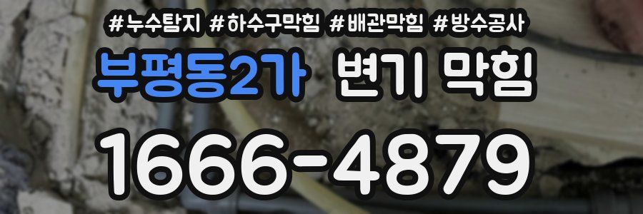 부평동2가 변기 막힘