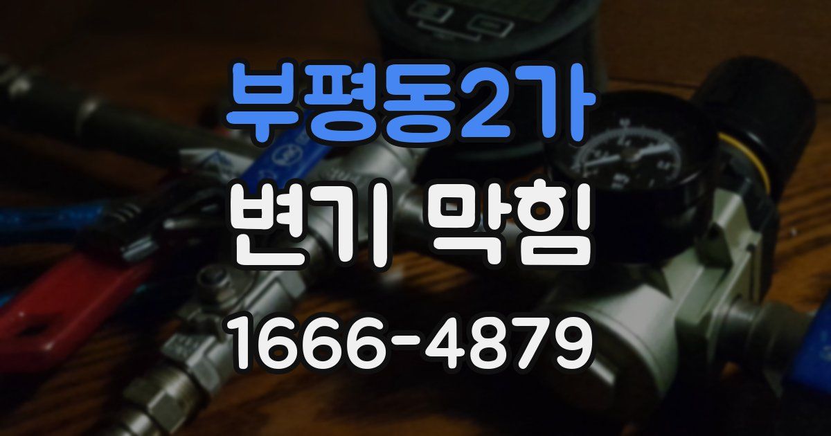 부평동2가 변기 막힘