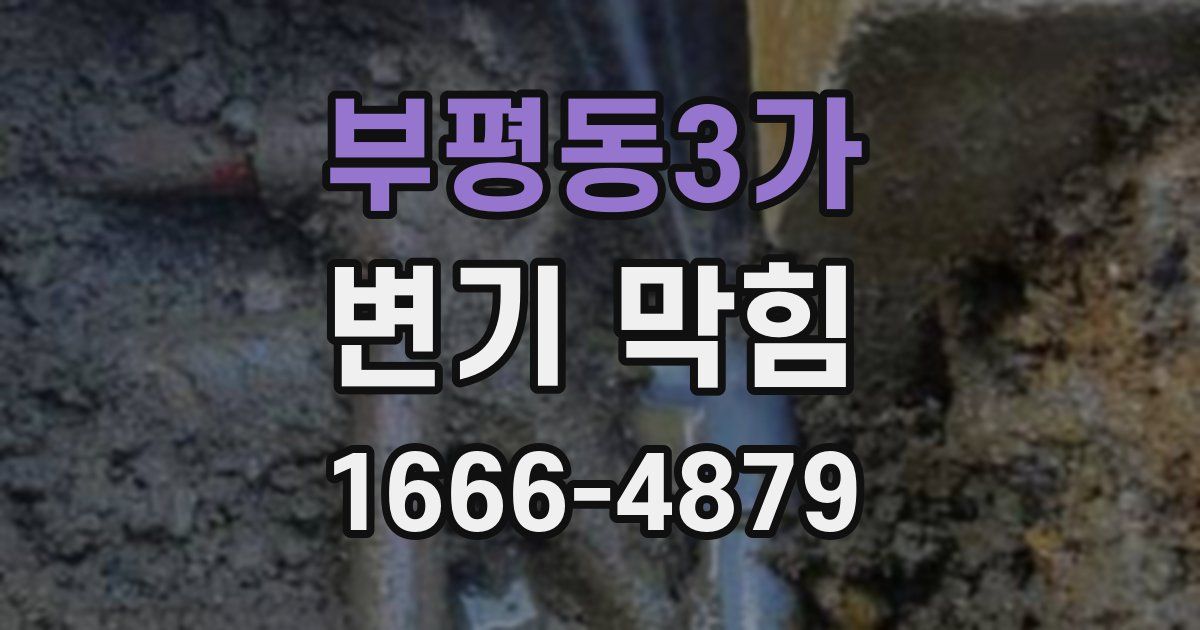 부평동3가 변기 막힘