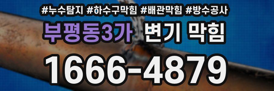 부평동3가 변기 막힘