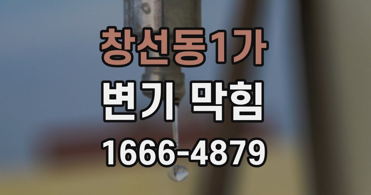 창선동1가 변기 막힘