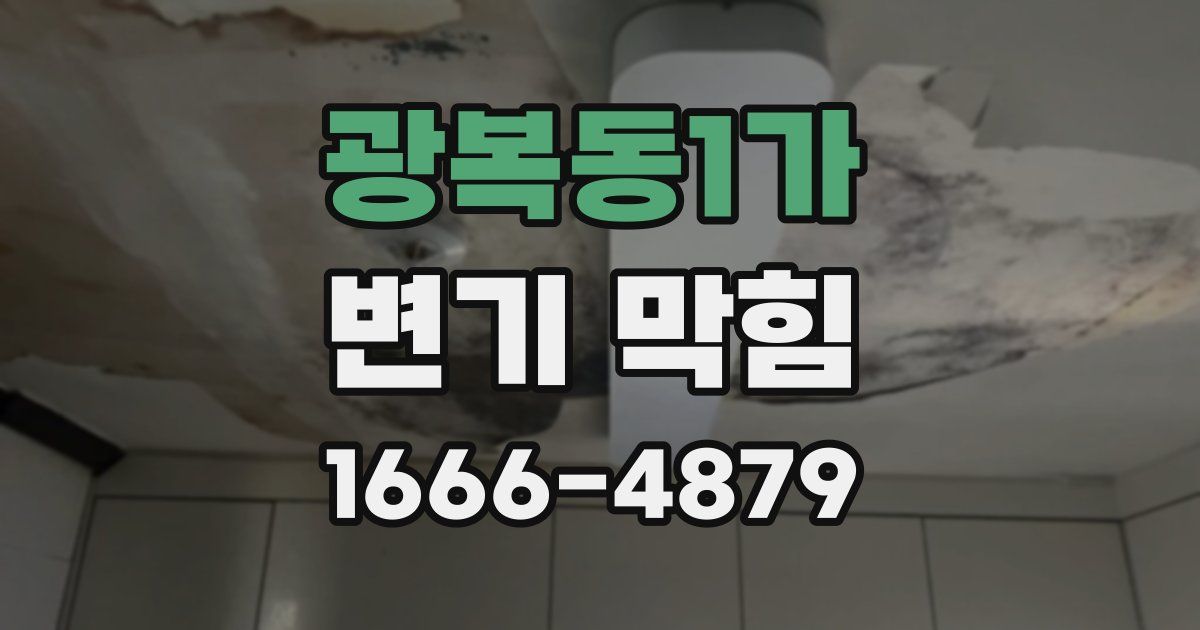 광복동1가 변기 막힘