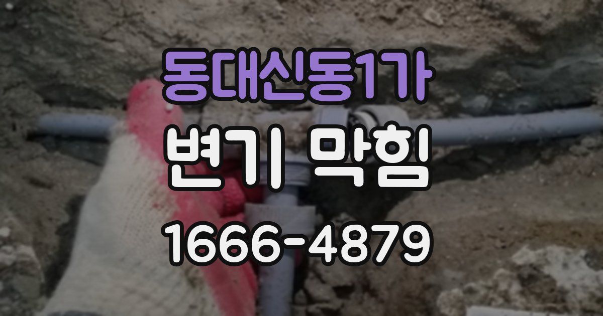 동대신동1가 변기 막힘