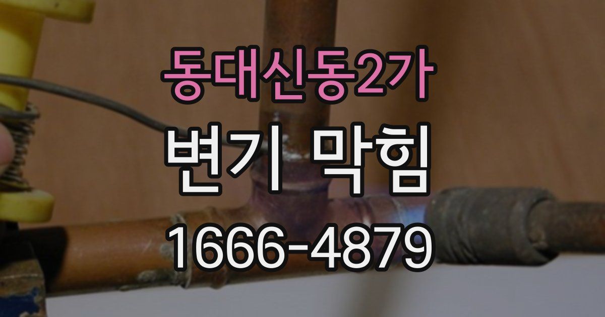 동대신동2가 변기 막힘