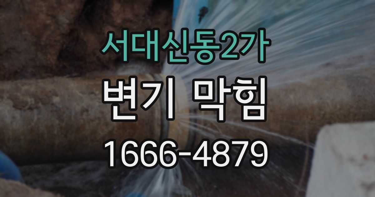 서대신동2가 변기 막힘