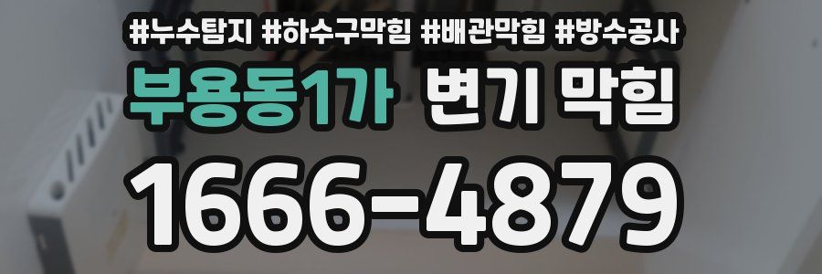 부용동1가 변기 막힘