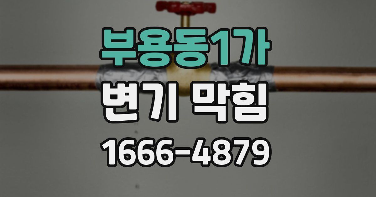 부용동1가 변기 막힘