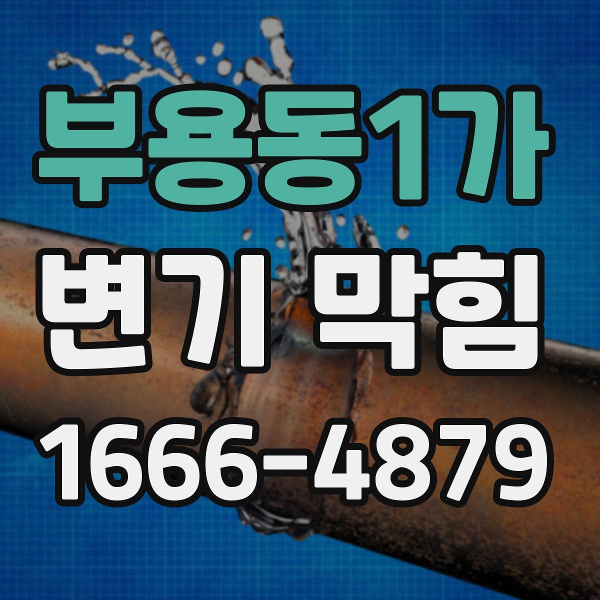 부용동1가 변기 막힘
