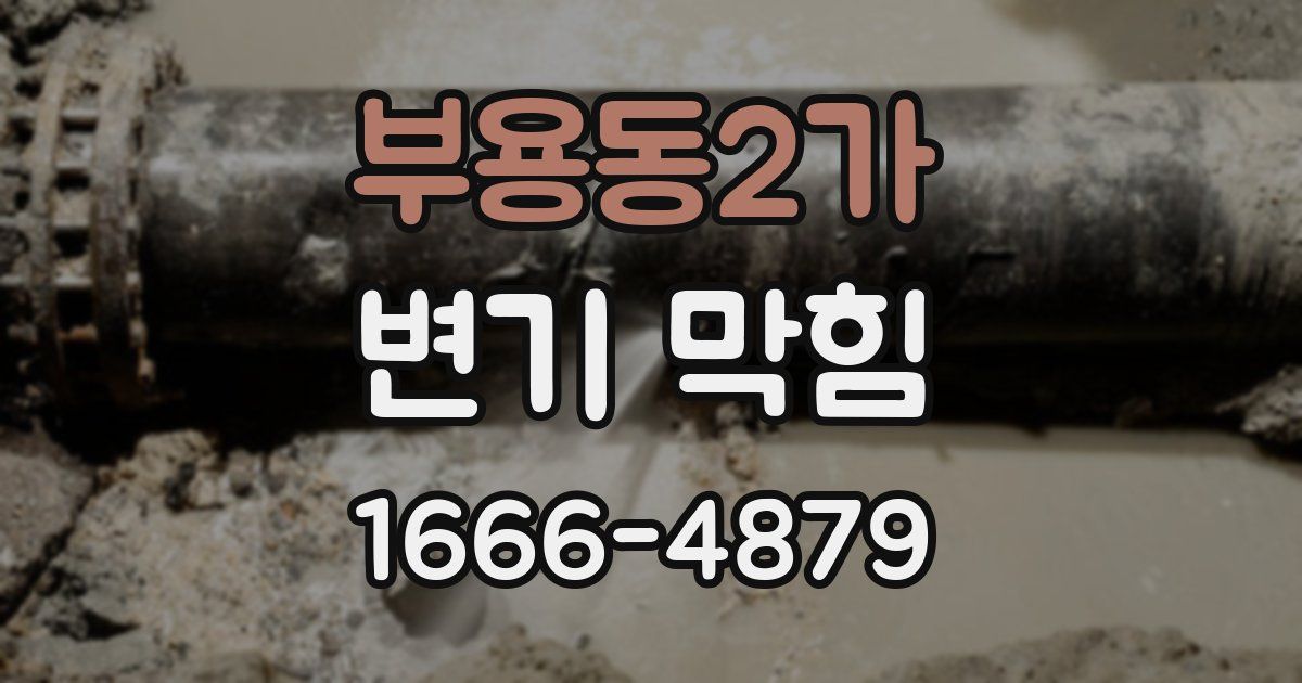 부용동2가 변기 막힘