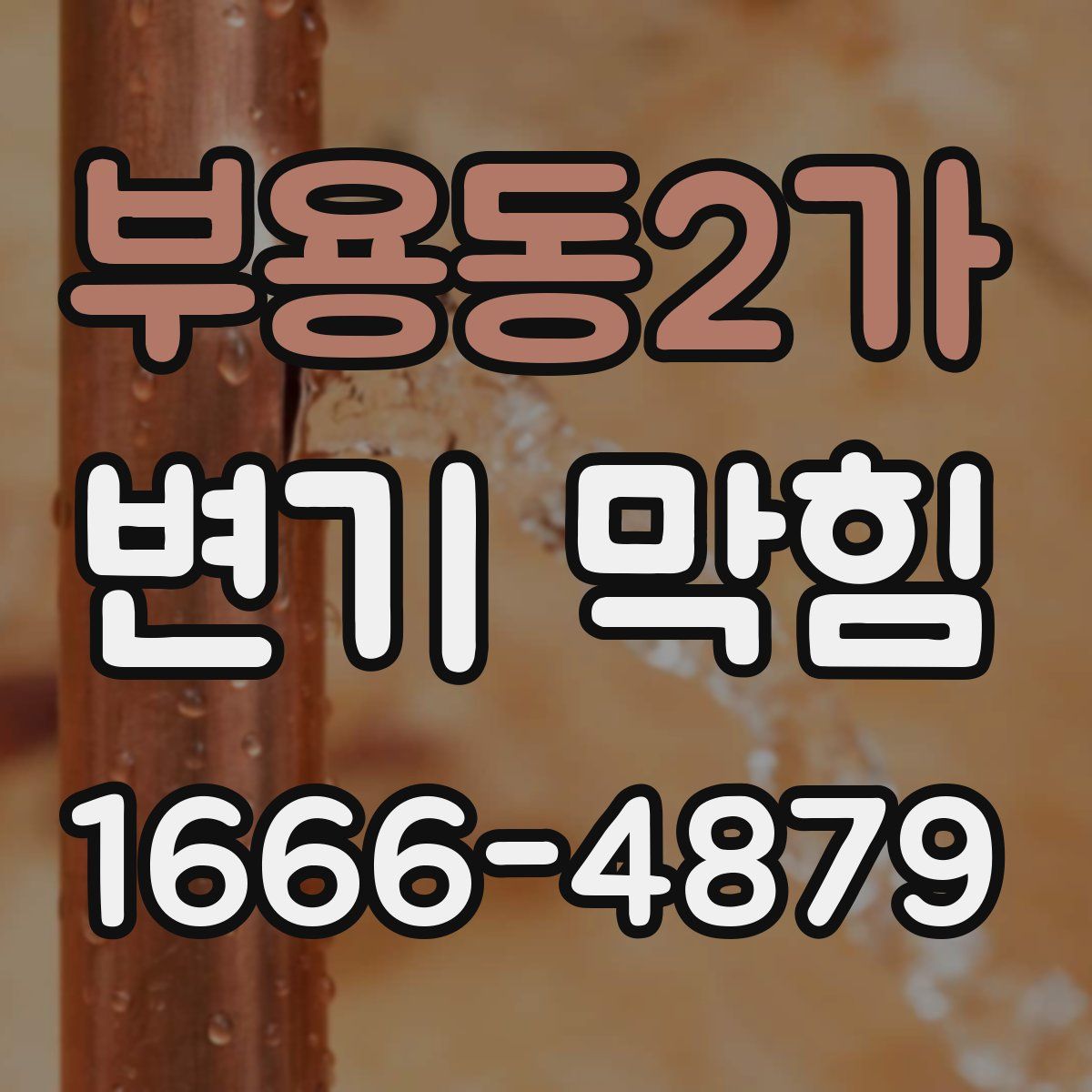 부용동2가 변기 막힘