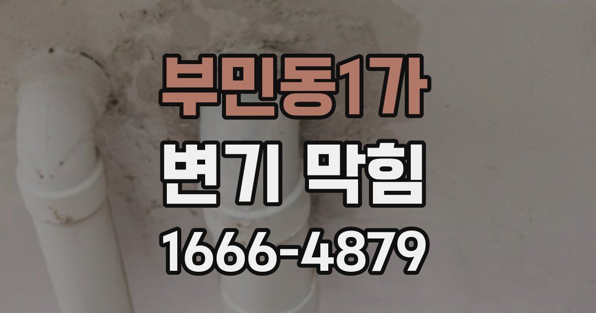 부민동1가 변기 막힘