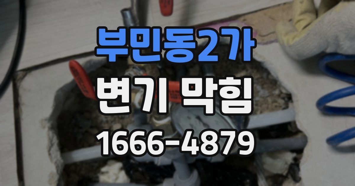 부민동2가 변기 막힘