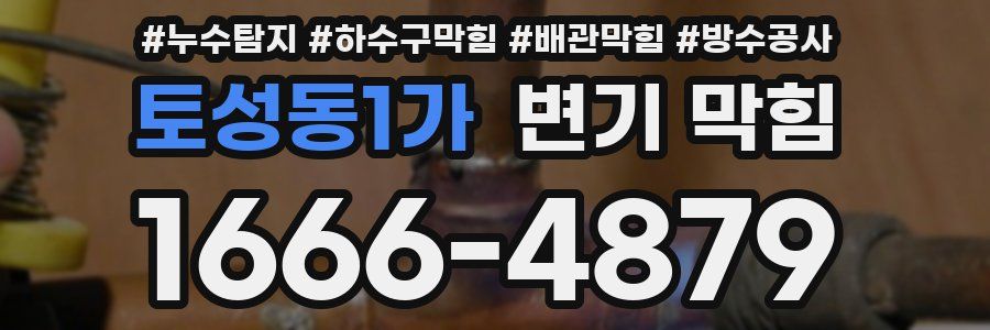토성동1가 변기 막힘