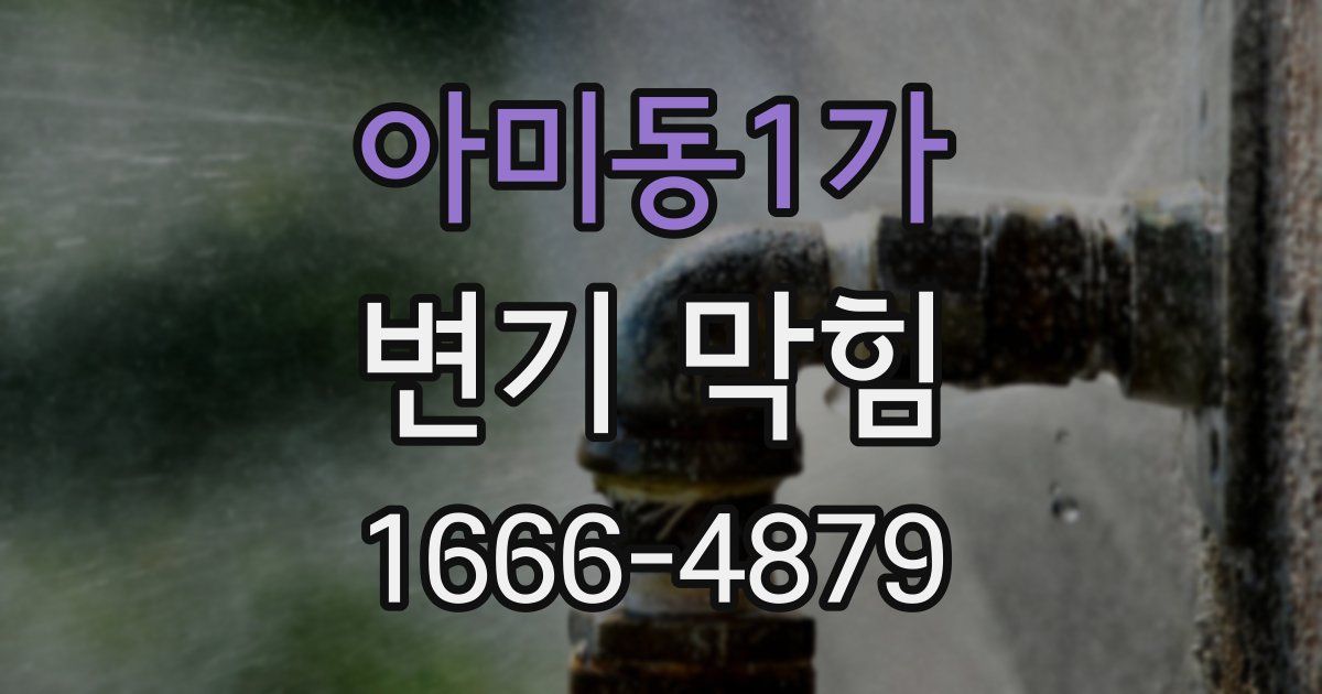 아미동1가 변기 막힘