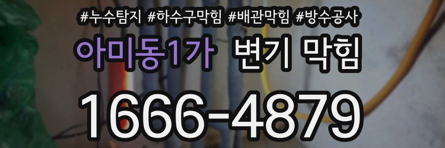 아미동1가 변기 막힘