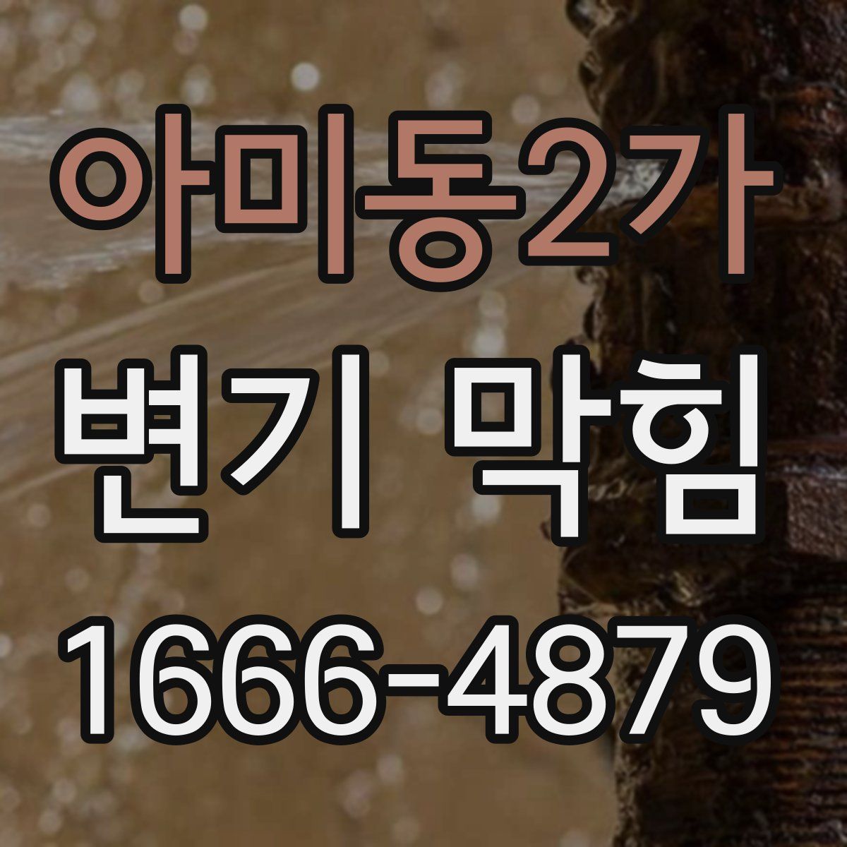 아미동2가 변기 막힘