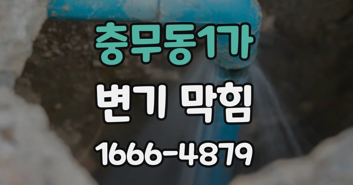 충무동1가 변기 막힘