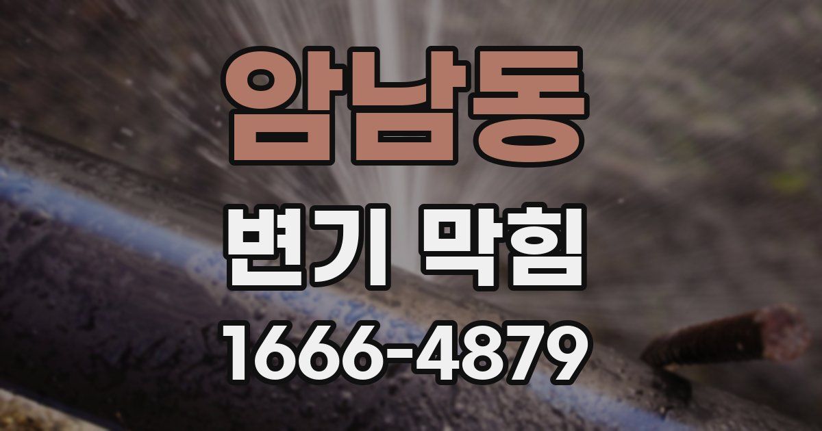 암남동 변기 막힘