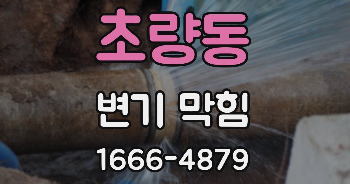 초량동 변기 막힘