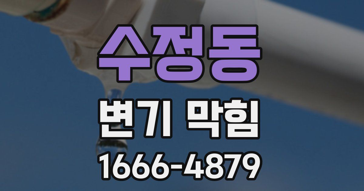 수정동 변기 막힘