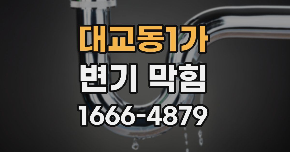 대교동1가 변기 막힘