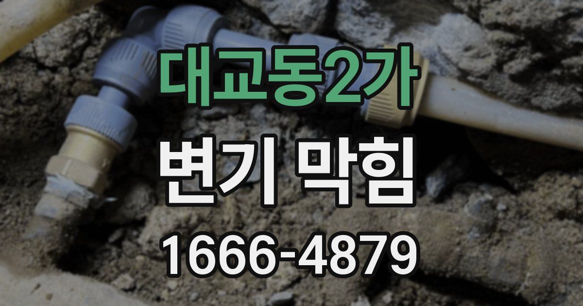 대교동2가 변기 막힘