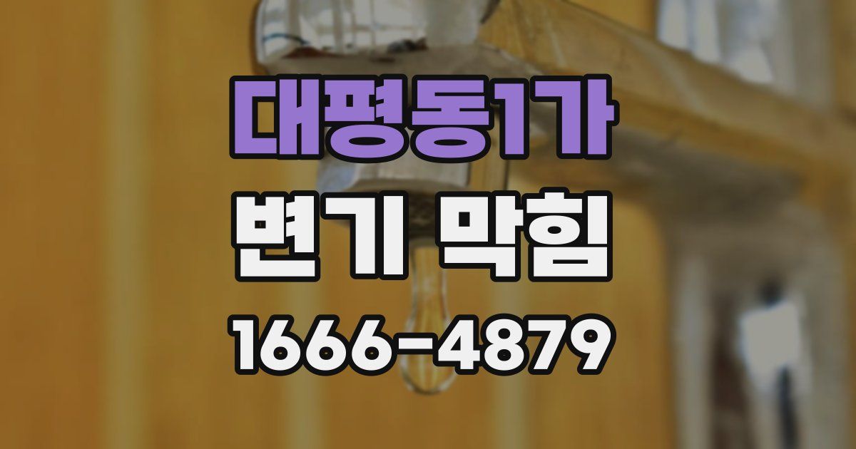대평동1가 변기 막힘