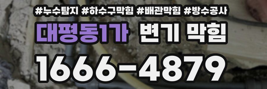 대평동1가 변기 막힘