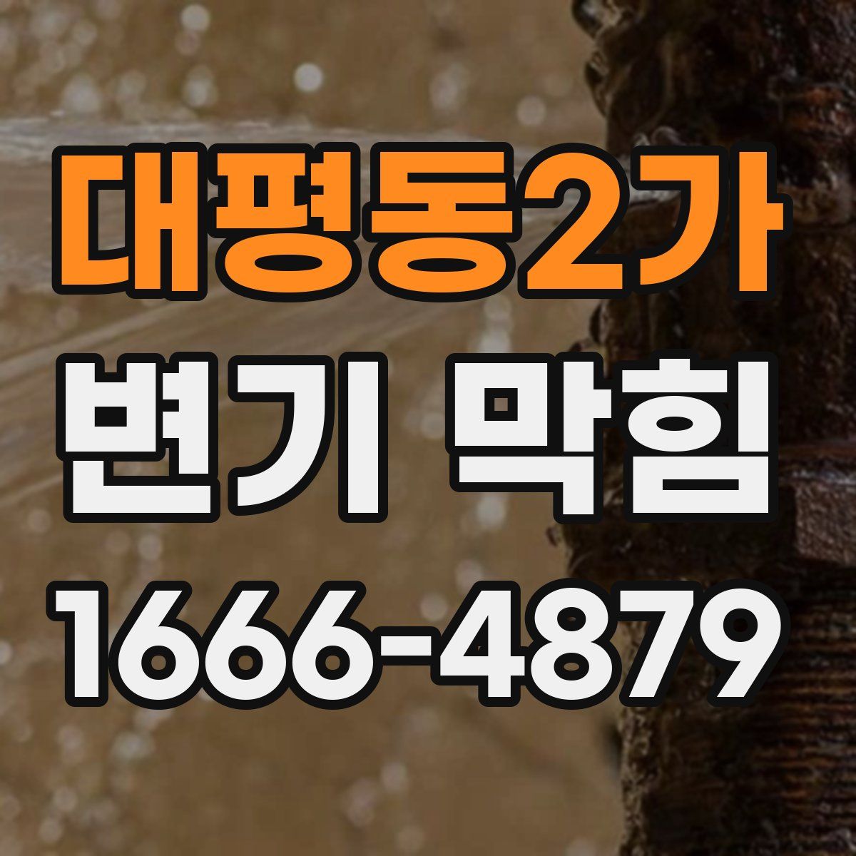 대평동2가 변기 막힘