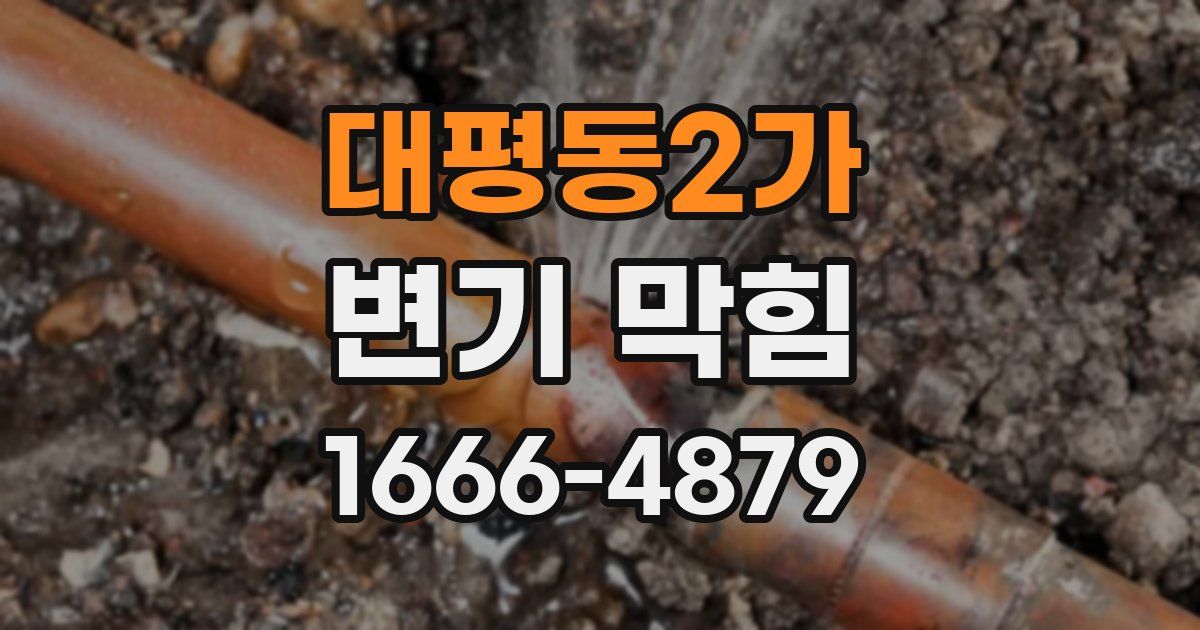 대평동2가 변기 막힘
