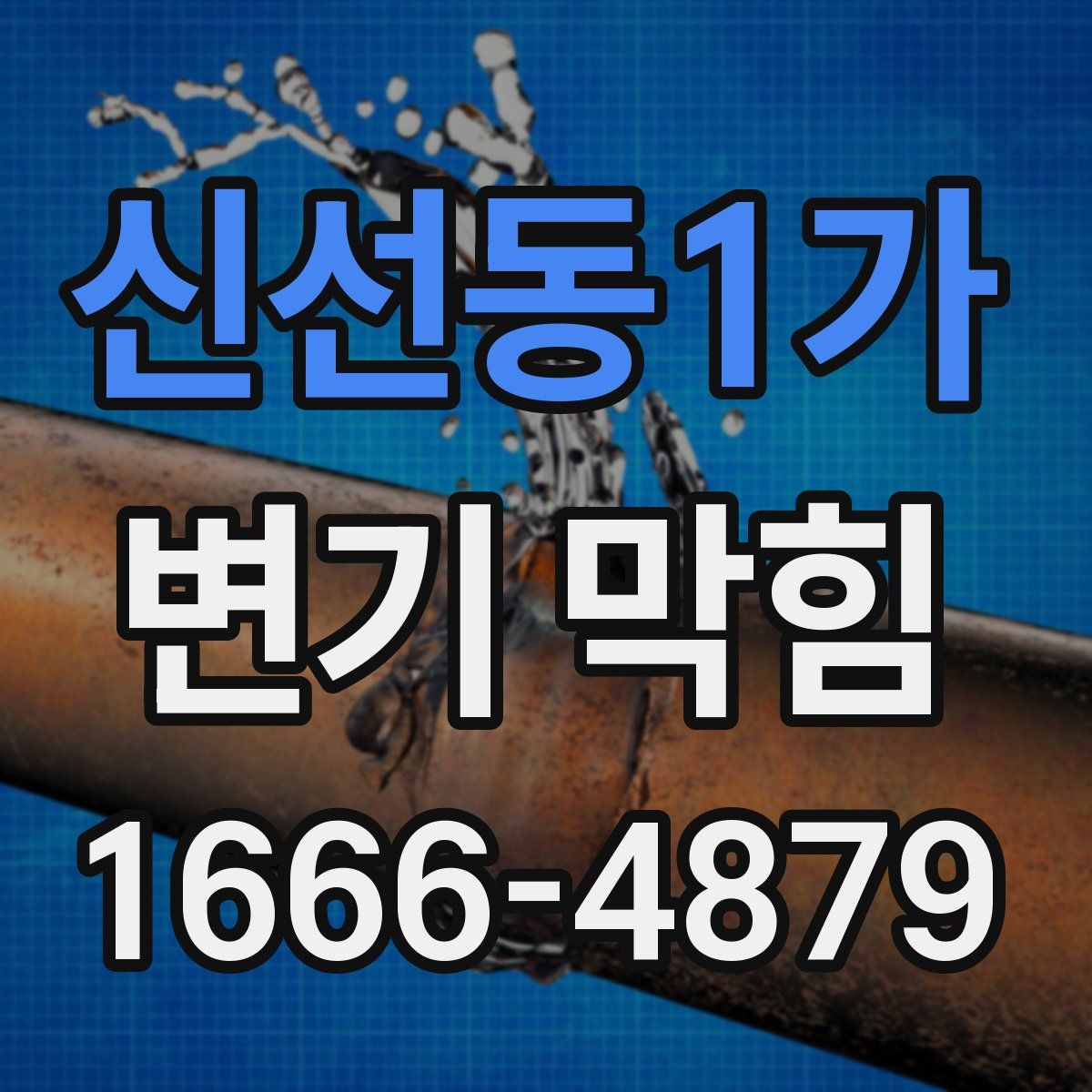 신선동1가 변기 막힘