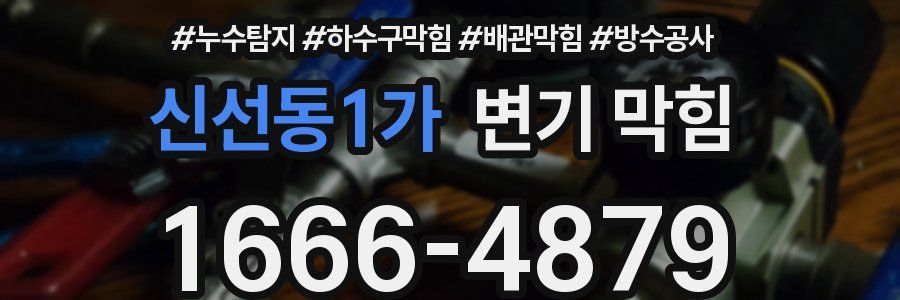 신선동1가 변기 막힘