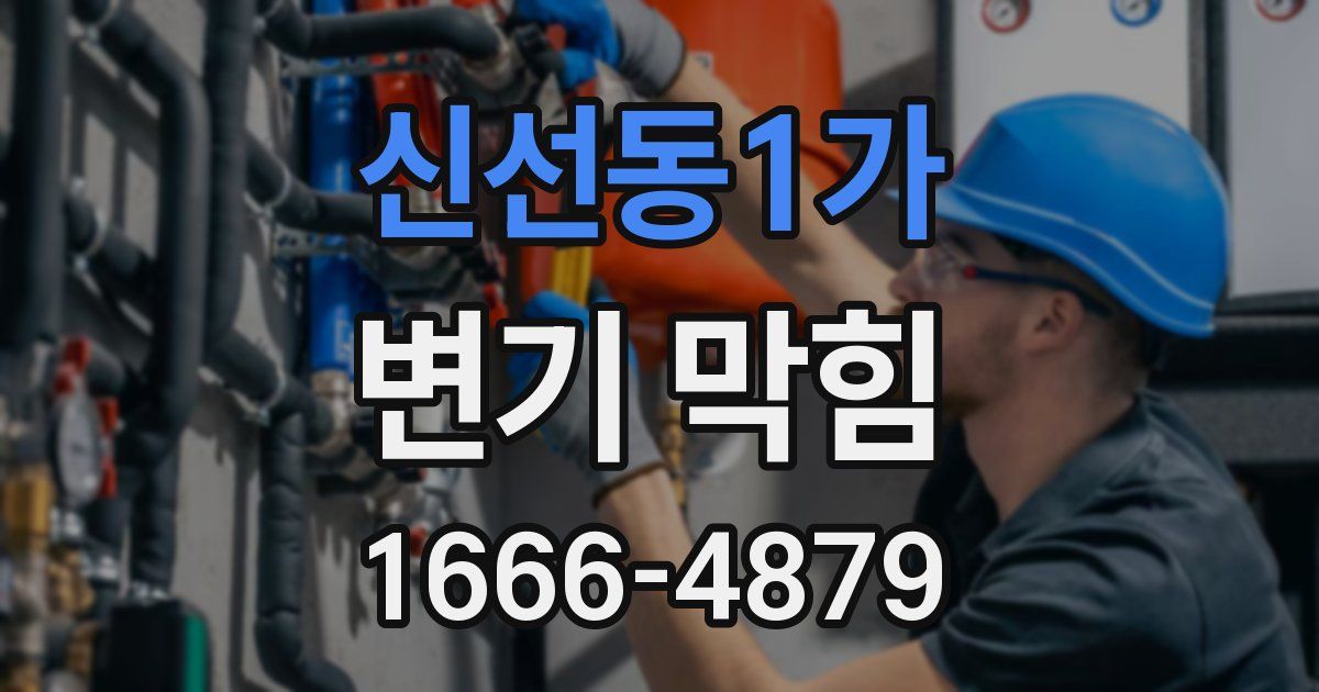 신선동1가 변기 막힘